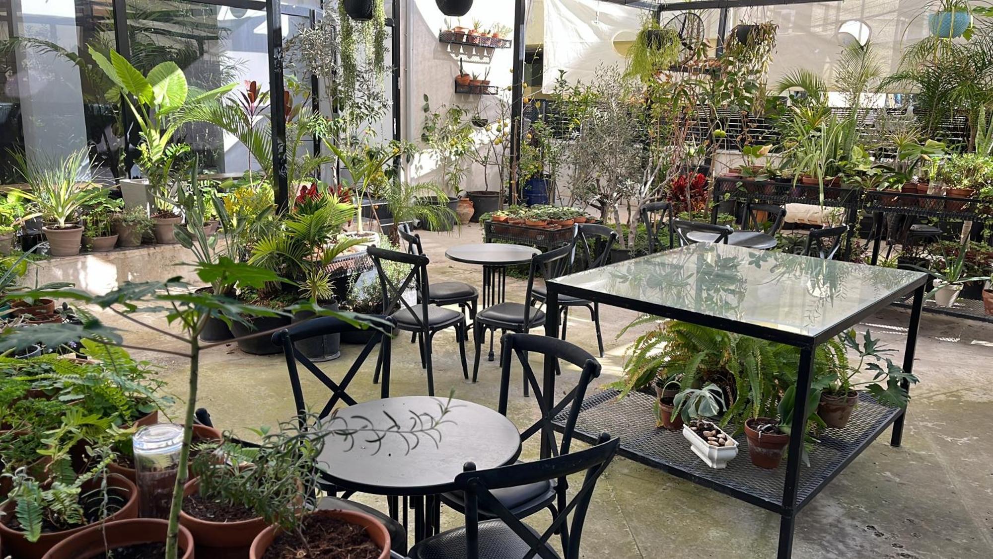 Yona 8 Bed & Breakfast Tel Aviv Exterior photo